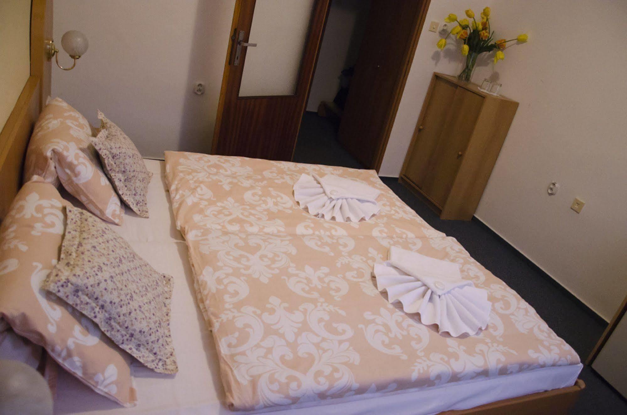 Hotel Zatisi Františkovy Lázně Buitenkant foto